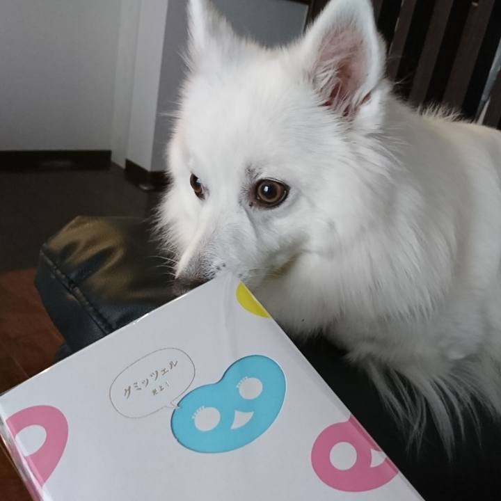 79bdef37 56bc 457e 9ebb 98af396cd8a1 1606455504688