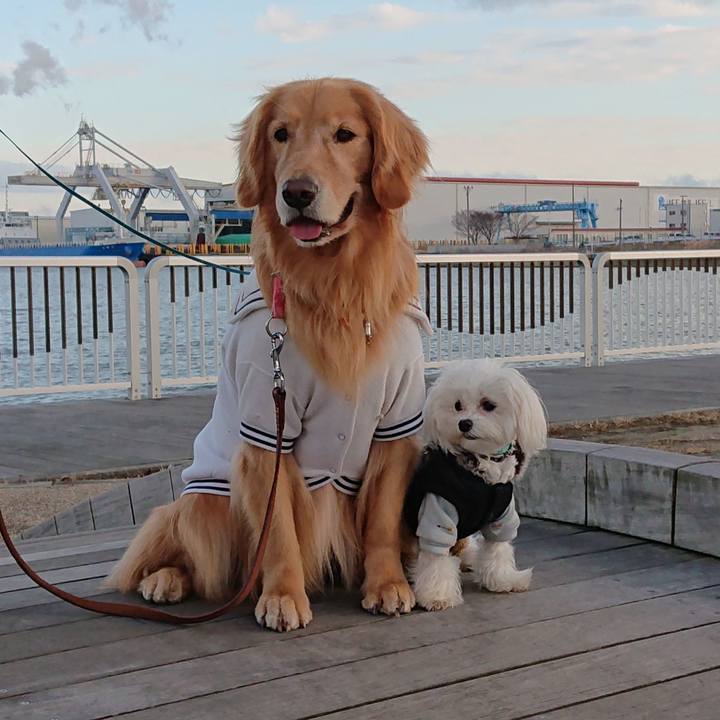 79be0ff1 1d78 42cb 867f 1128d6c76103 1578964982518