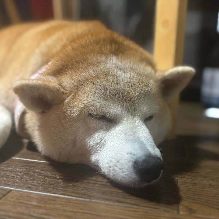 79be512a 2230 4d67 a71e 2999313e6ff3 1752091065944