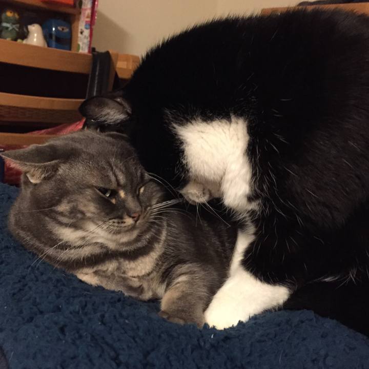 79be778f 0e2c 4d71 87ca a6aba0e73233 1514466539765