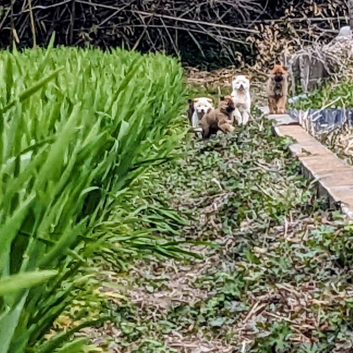 79be977d 372f 4bb9 842d f13e9464cd75 1773124197373