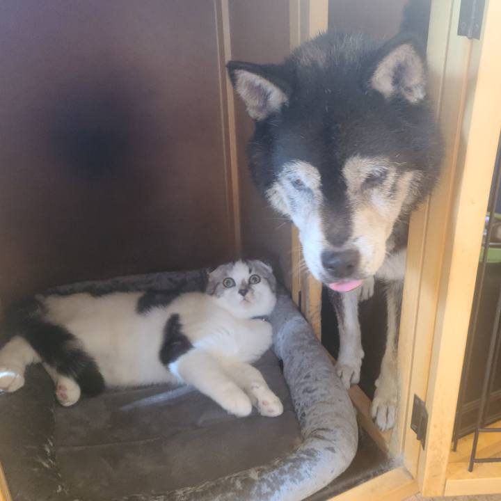 79beb9c4 b615 4b77 8cf2 4d7034ce7c3f 1633482420253