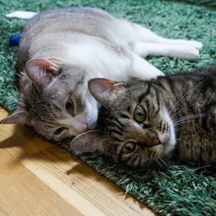 79bebdd6 5b3c 4479 ae60 44b23f28e8c1 1627443186966