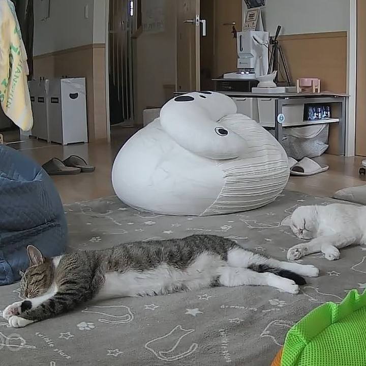 79bed100 9b09 4df6 9cff b293f94db142 1760927373666