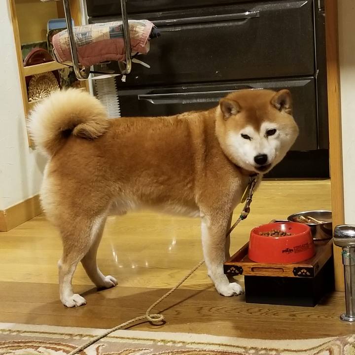 79bed425 e99b 454a b769 8eb6152bbcba 1572595257967