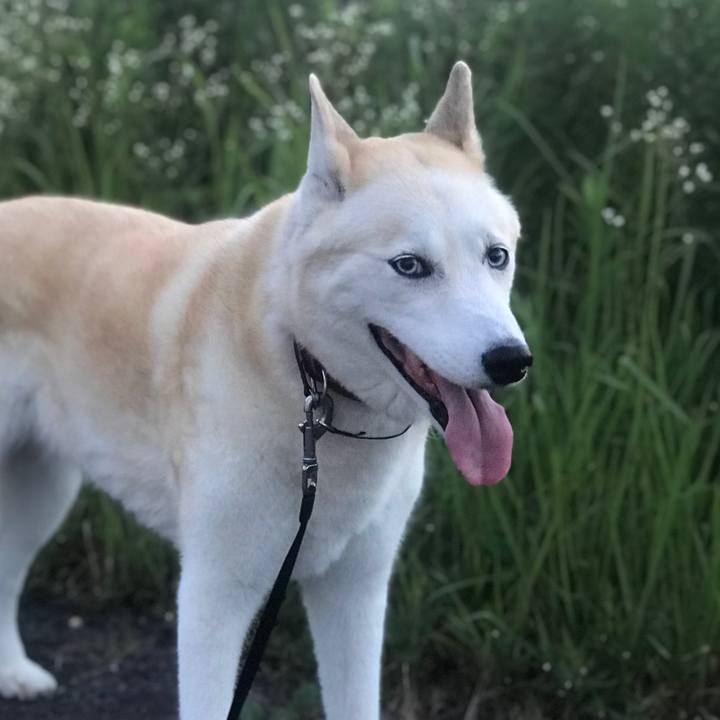 79bf1b8d 8f1b 4f2f b5ee b290c80551a7 1724640762993