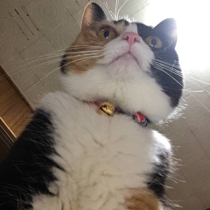 79bf3e6d 2845 4a66 a516 5b0876c87990 1517911338635