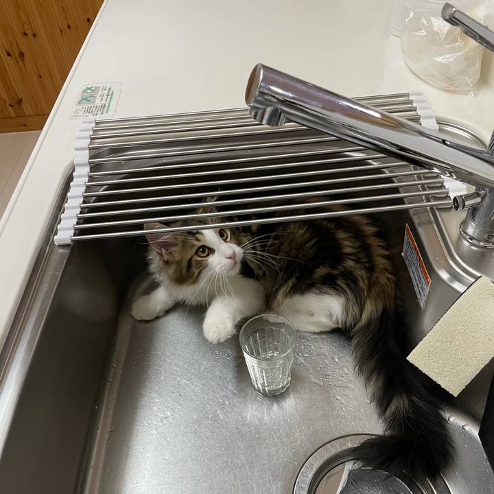 79bf5a88 b74d 4e45 862c dcf17495bcc2 1635628790222