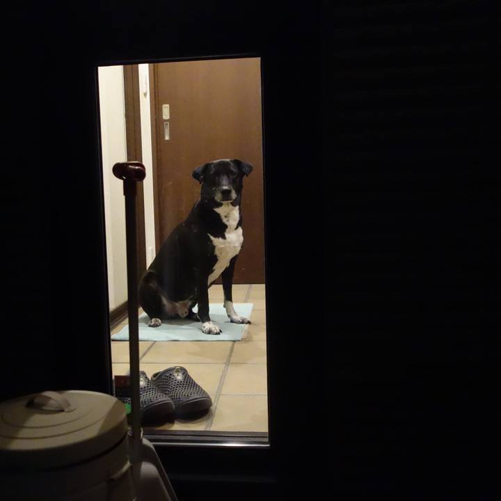 79bfbe5b f06a 459b 9dad 3a61c461eea6 1697972861228