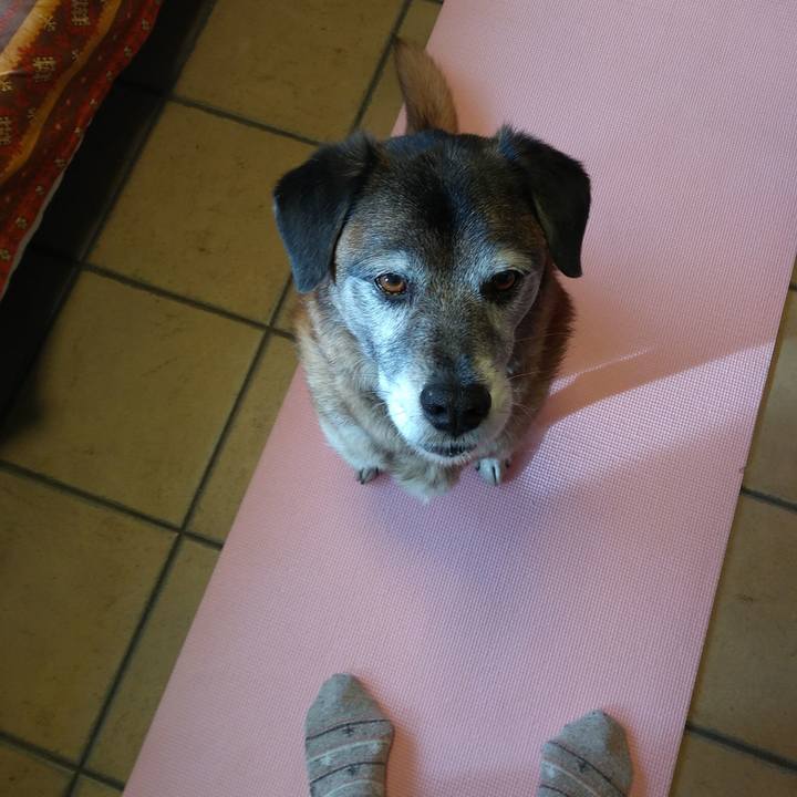 79bffdad a690 4906 8d5c 5a272b63fe66 1548638991787