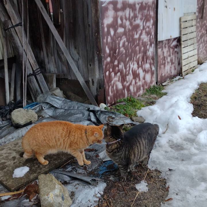 79c02d5f 3a80 47a0 88d6 213feddbe72e 1673220855869