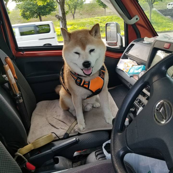 79c03170 2eed 4240 b062 f30424175e8f 1716366901729