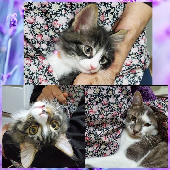 79c034c4 8bf4 4374 9166 5eaf91dbca35 1690019815459