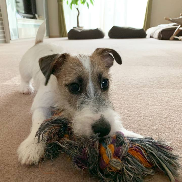 79c04463 a61c 49e5 adac 3395268f45c2 1565140827980