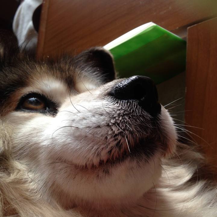 79c06fc4 4462 474e 89ef 733b61443fda 1553162140448