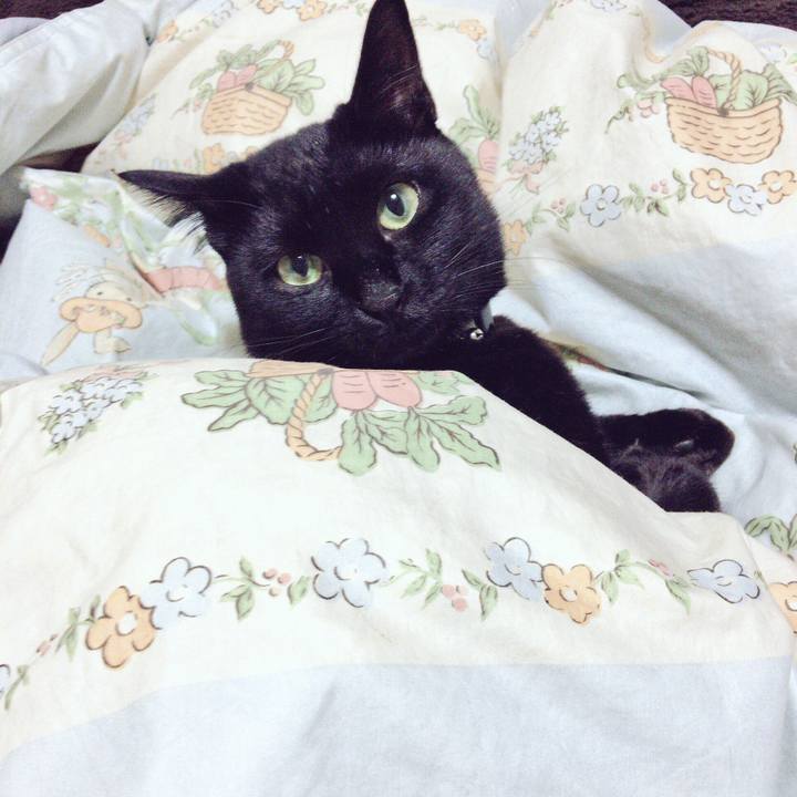 79c07daa 5de2 4edf a585 8488381093ca 1514618330959