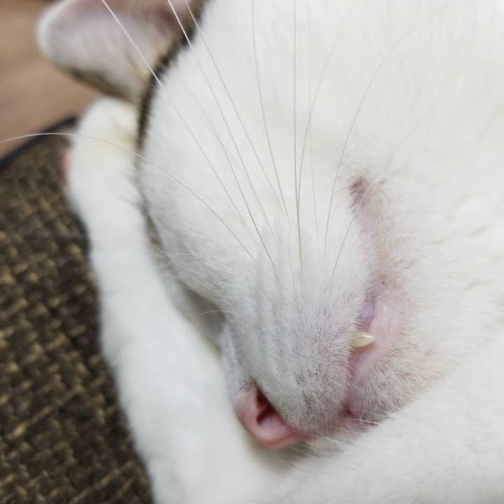 79c08a34 bd29 449f bb1e 1d313ad41d02 1570105503973