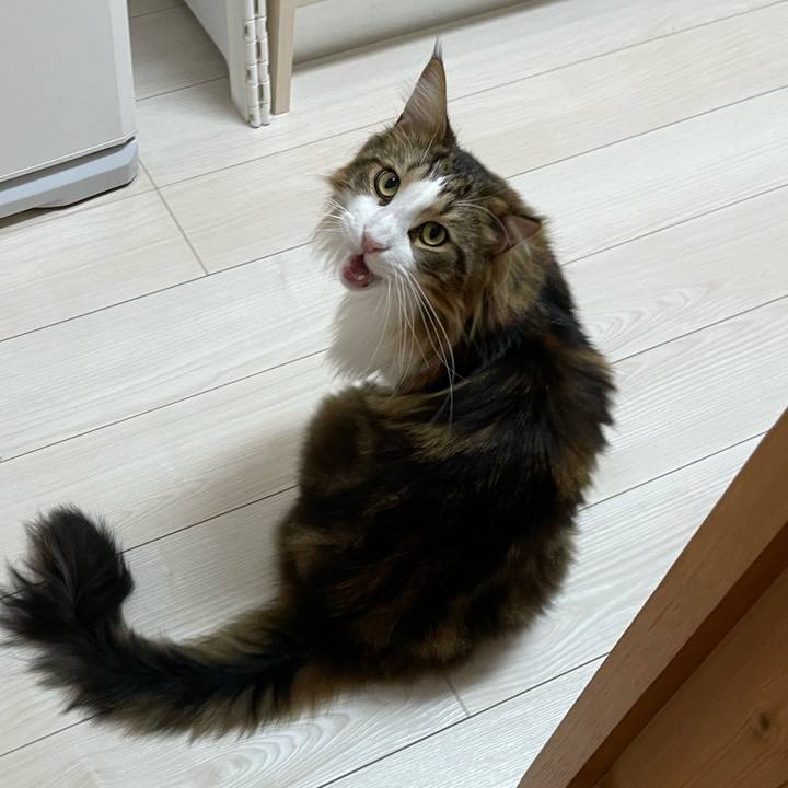 79c0b377 495a 42bc 8c9d f0c2acf7b52f 1670922183864