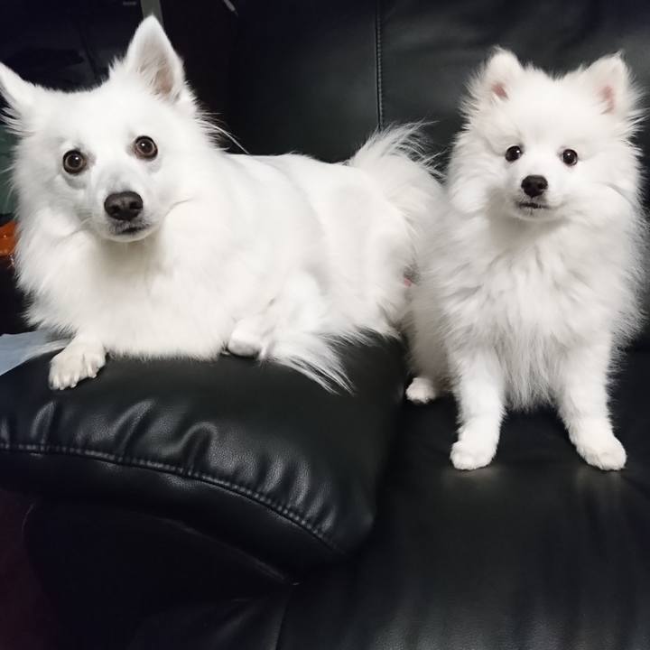 79c0b4b3 5279 4d6f bb7f ea1062c1e029 1547530937063