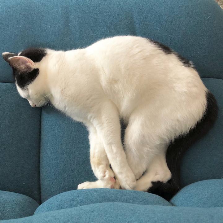 79c0c8dd ede6 4bd8 b8b8 2b13035cbc09 1562468544298