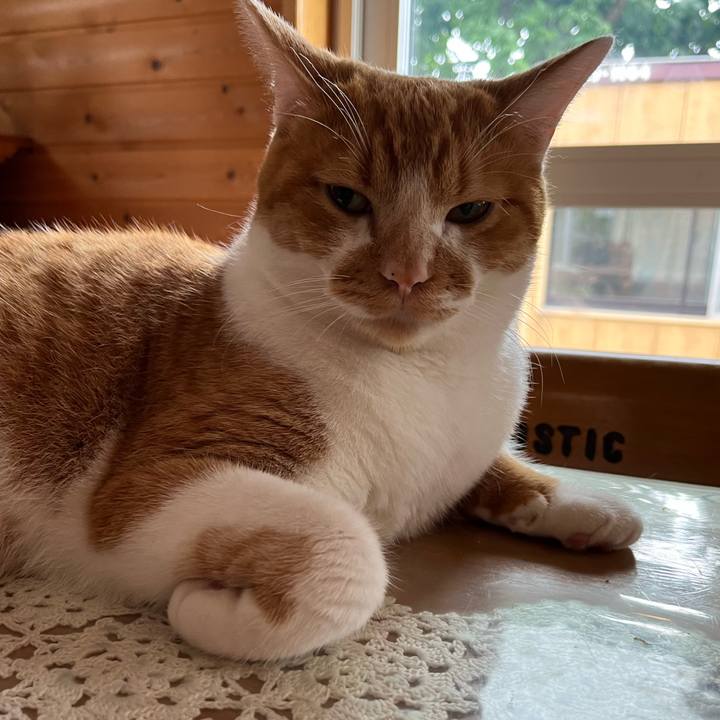 79c0caaa fa51 4457 a539 6ce985070e3b 1693189495511