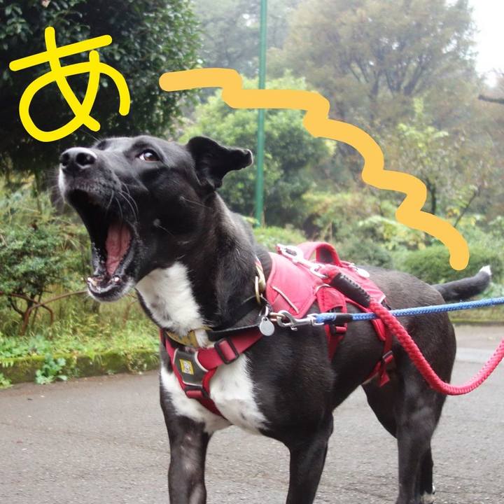 79c0d12f 12b0 441b a2ec dce490fb56d0 1604361724770