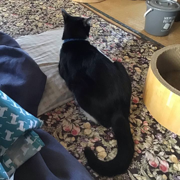 79c0e787 9e95 41ef a4c9 9cf685c41c13 1745740963482