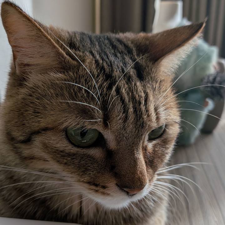 79c12064 a15d 4679 aa1e 6f5aa0a30bc5 1765094112709