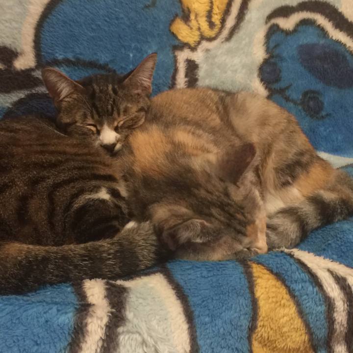 79c12b0d bcd4 43a2 94ab 005c159fbedb 1571916147172