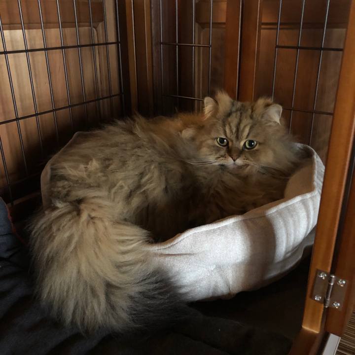 79c16595 6038 42a3 aa03 1ce1c6b6486a 1614915608235