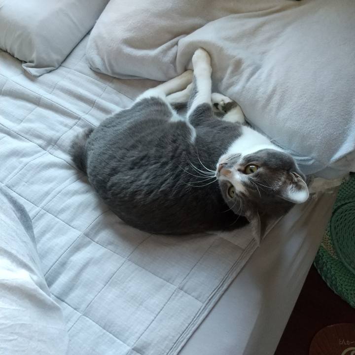 79c1697e 911e 475e 82b2 fc7263a332eb 1636073002417