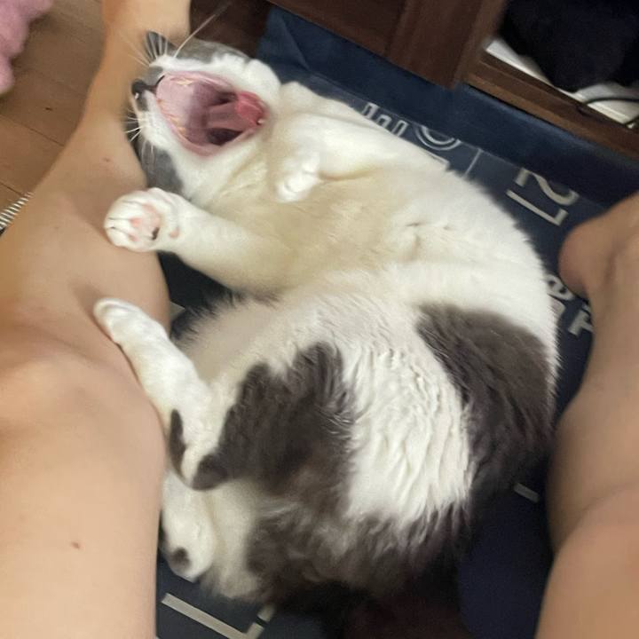 79c182da 02ff 4caa 8851 3e4ea88a57af 1694759778325