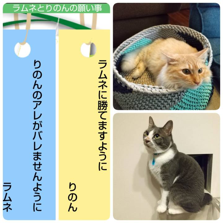 79c1f6da e047 4d68 8a02 95e21ccd5c8d 1625608507983