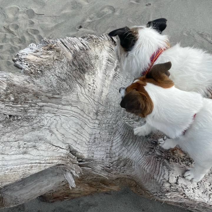 79c20a7a 6cc4 4c8e 870e 436fc3e03444 1714433296309