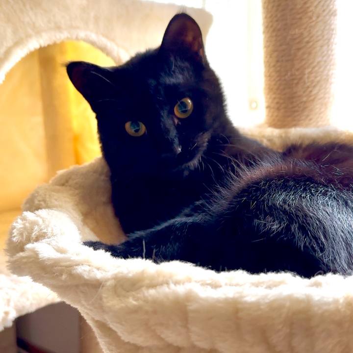 79c20daa 9751 46a2 b58c e0f61fac7d05 1738377899565