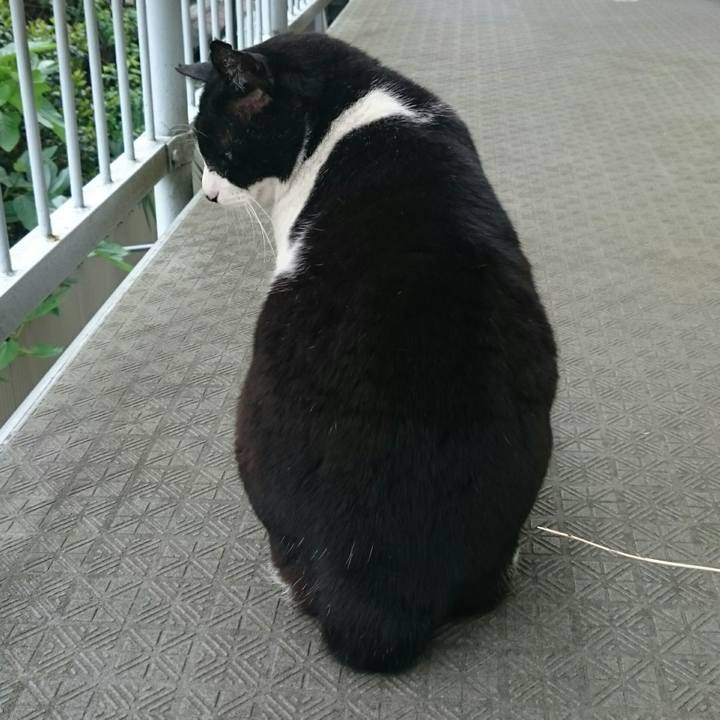 79c21f0b 3216 4641 a640 0958d1358e42 1524109958349