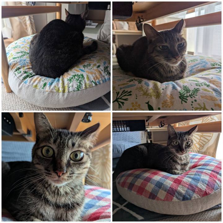 79c22915 aad6 4cd4 92f7 d00fce9ef3ba 1760940401609