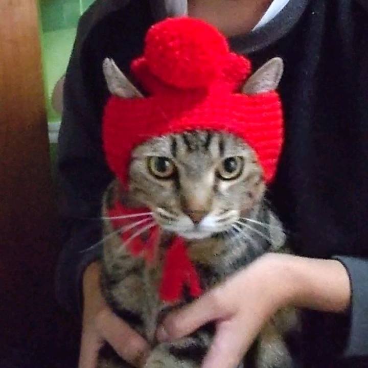 79c22bf0 94f6 49f1 9491 4bb61ff7e330 1700815197863