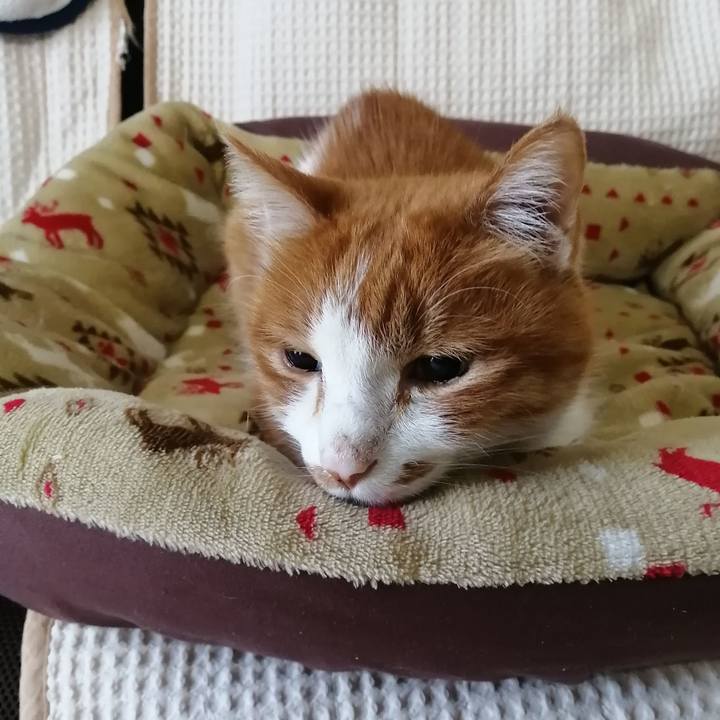 79c25cf8 2e12 4fd2 8181 d6720201c26d 1651619722773