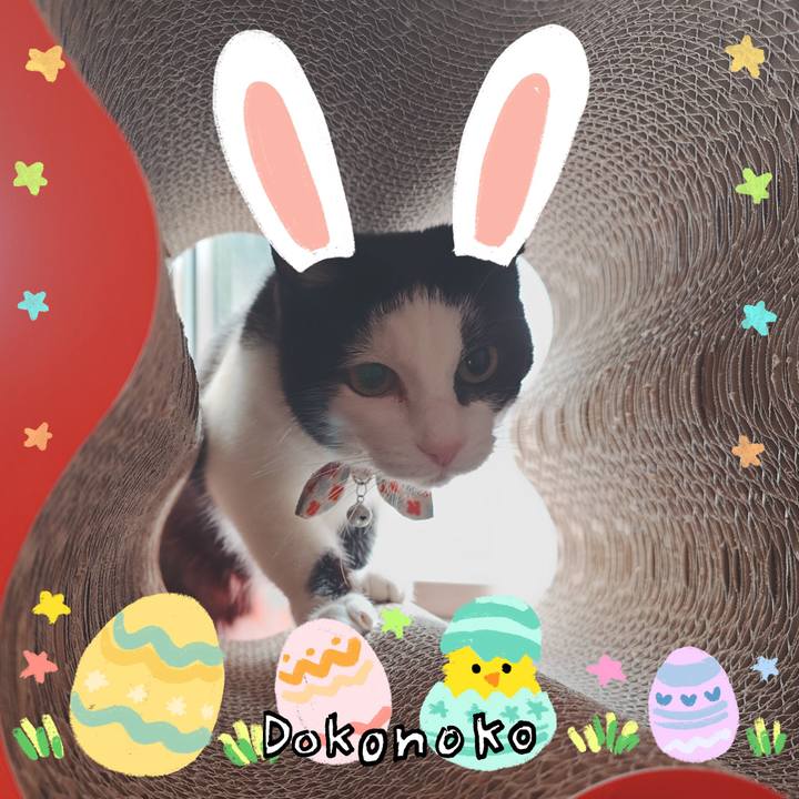 79c28756 bcba 43f3 bcaf e1f3231e51cb 1712470733200