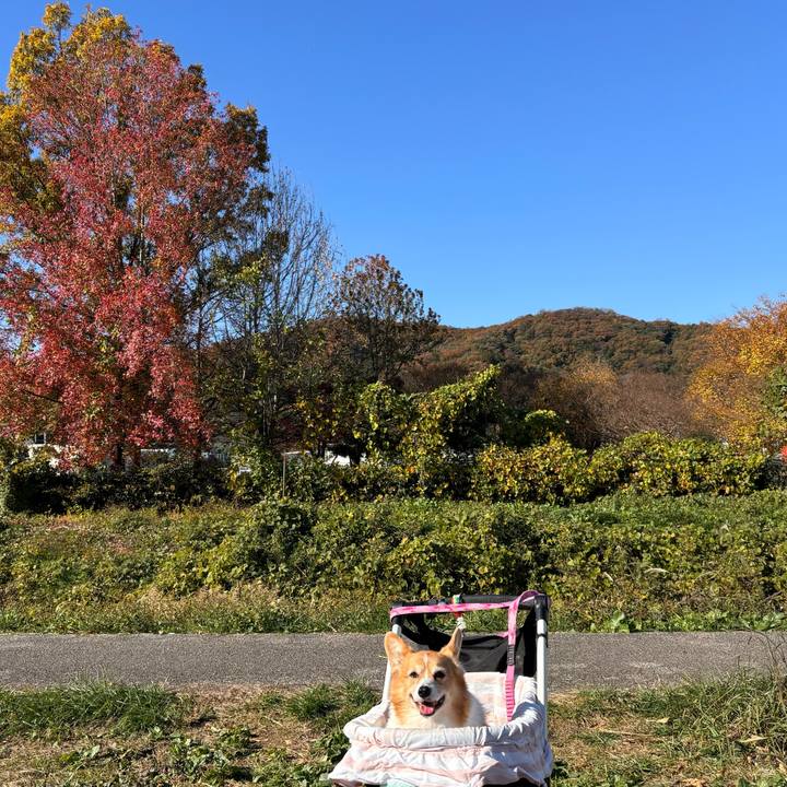 79c2f53a 3e96 44d5 988a 161fa3290678 1763522153205