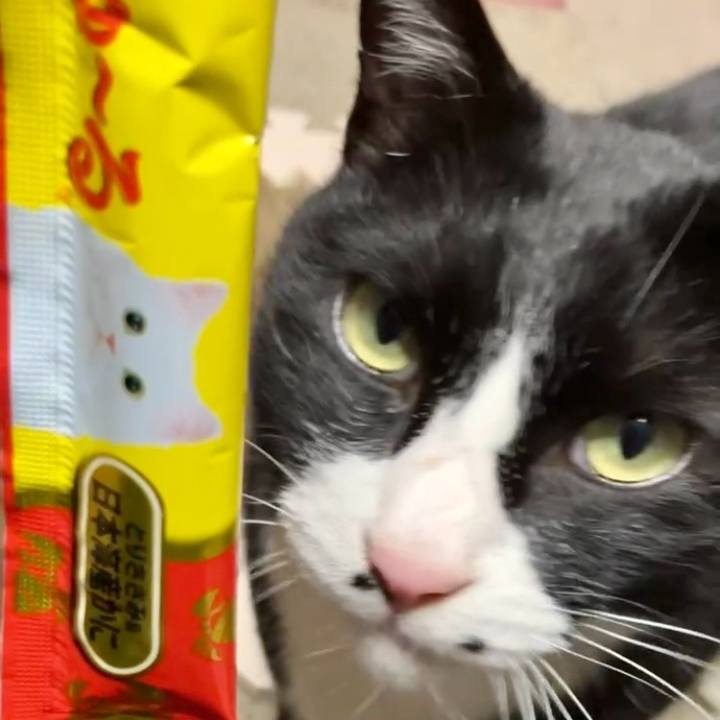 79c2f8ed 91bc 4b22 9069 15fae1b4434d 1741869042740