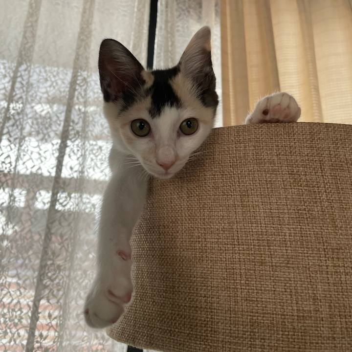 79c32229 69b1 43fe b9e9 c44c28658fdc 1658698038121