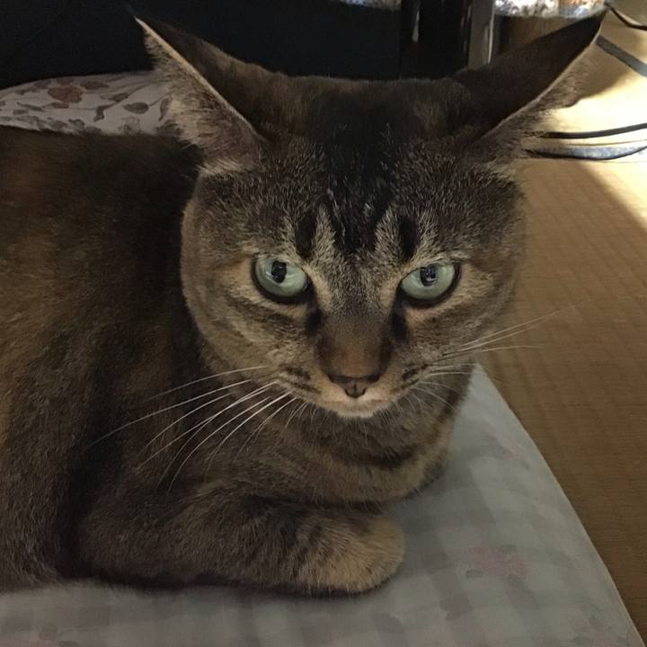 79c32351 8266 410a ba9d 9c9e9fde6e99 1725183149689