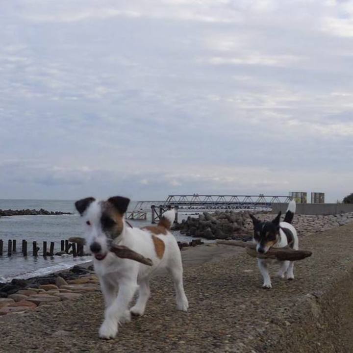 79c3abda 1ae3 4d88 8be0 a0e5285f77a8 1698884485717