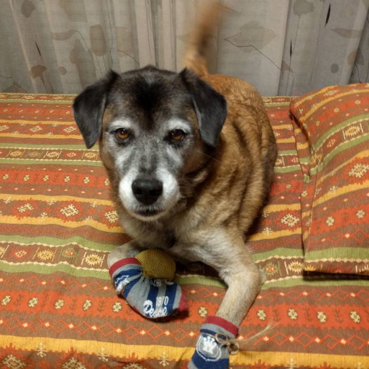 79c3ae7d be2e 4064 99da aae09494da6a 1542444834220