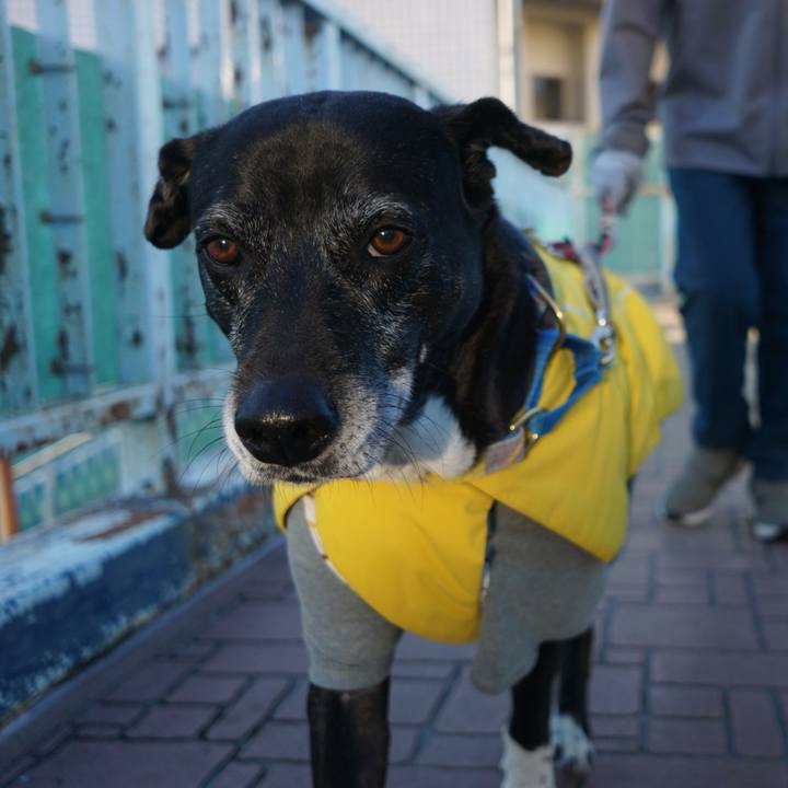 79c3bce0 8645 4163 bba6 8f1e1eefff41 1765759905005