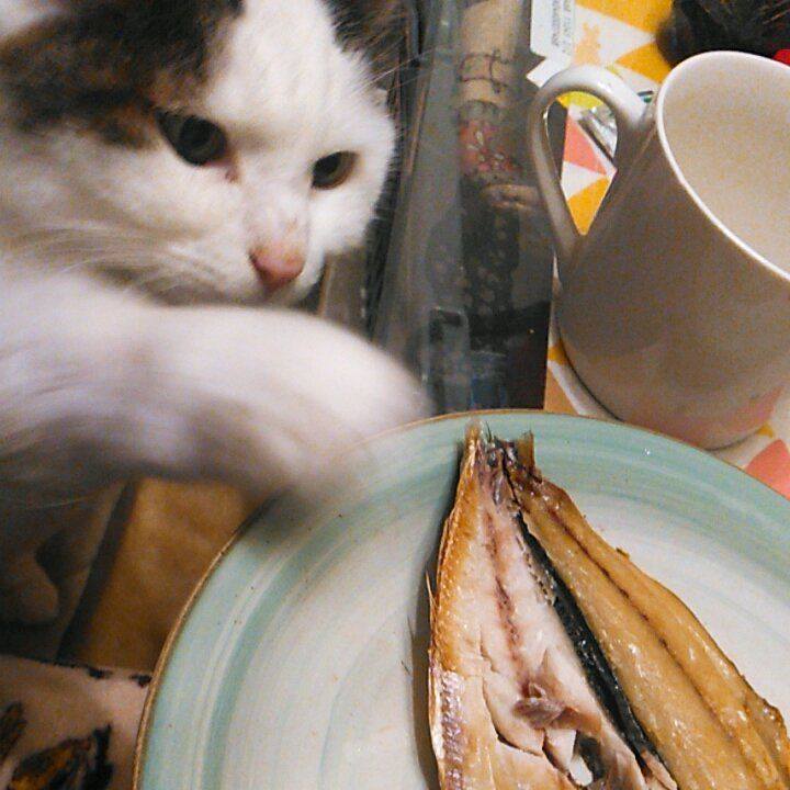 79c3bfc0 dc45 46bf 9e36 e8db247b57fd 1639434168609