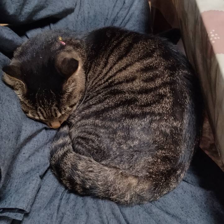 79c3cb07 2b9f 4d17 a2be dbbb71c93bd6 1666740386174