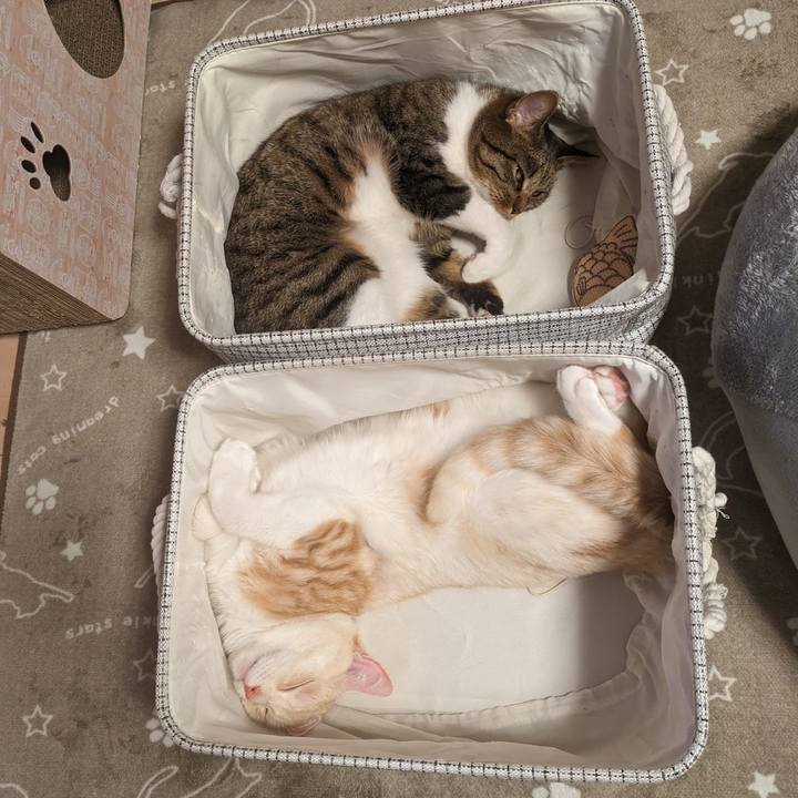 79c3dc54 fed6 4976 9962 a72639ea2bf9 1697116911485